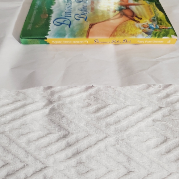 "Dinosaurs Before Dark" by Magic Tree House - Picture 7 of 9